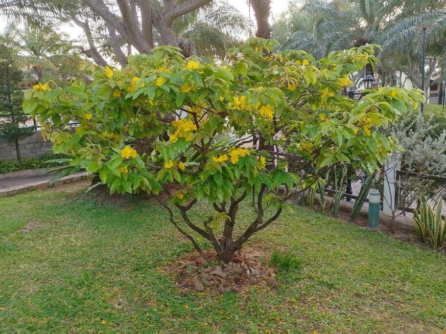 Biet Thu Bien Mui Ne - Villa Muine Domaine - Sea View Фантхьет Экстерьер фото